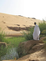 Adrar, la fin des oasis ?