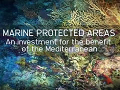 MARINE PROTECTED AREAS IN THE MEDITERRANEAN